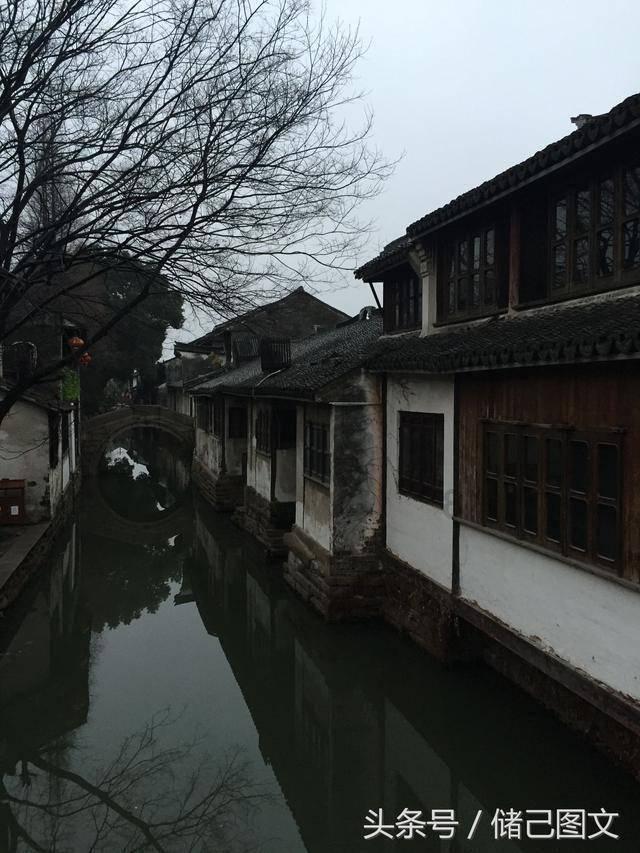 卡哇伊拳击手